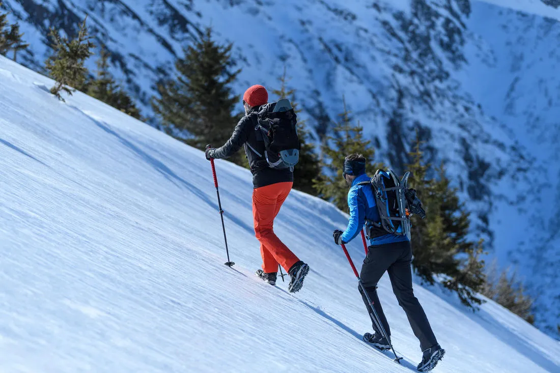 1 All Season Hiking Pole - MT500 All Season Red