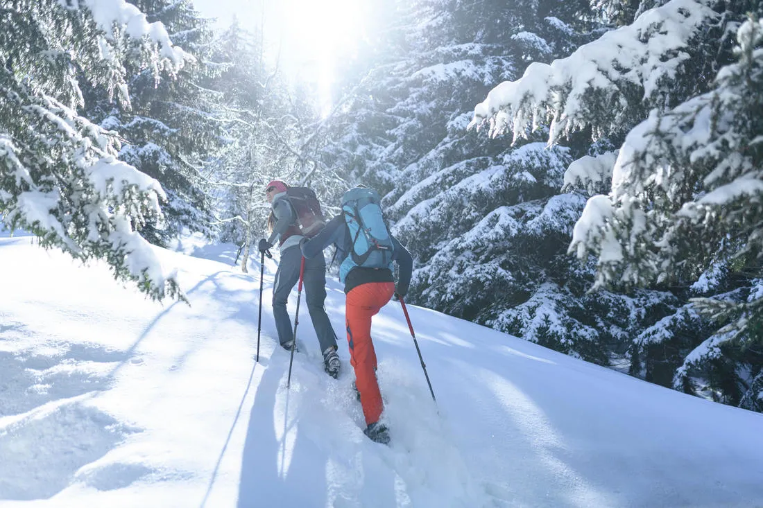 1 All Season Hiking Pole - MT500 All Season Red