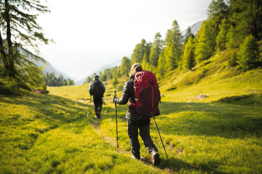 1 Anti-shock Hiking Pole - MT500 Anti-shock Grey