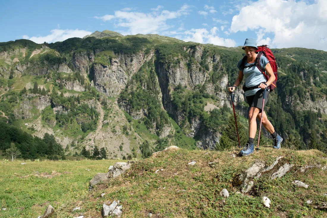 1 Hiking Pole - MT100 Ergonomic