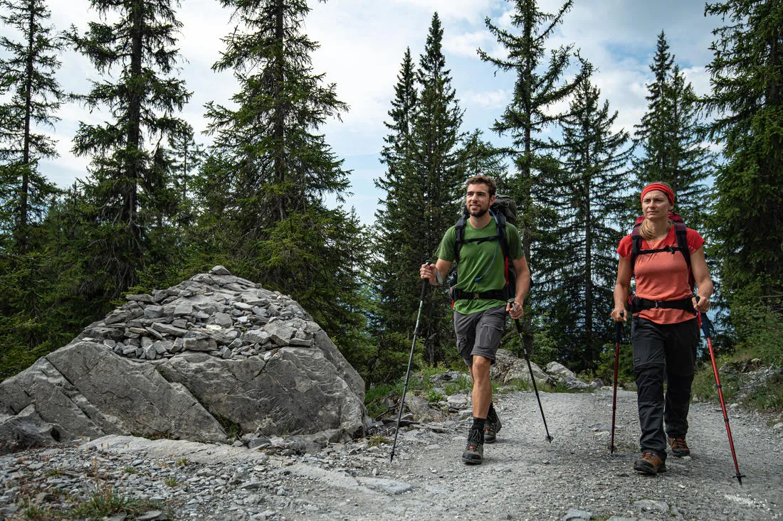 1 Hiking Pole - MT100 Ergonomic