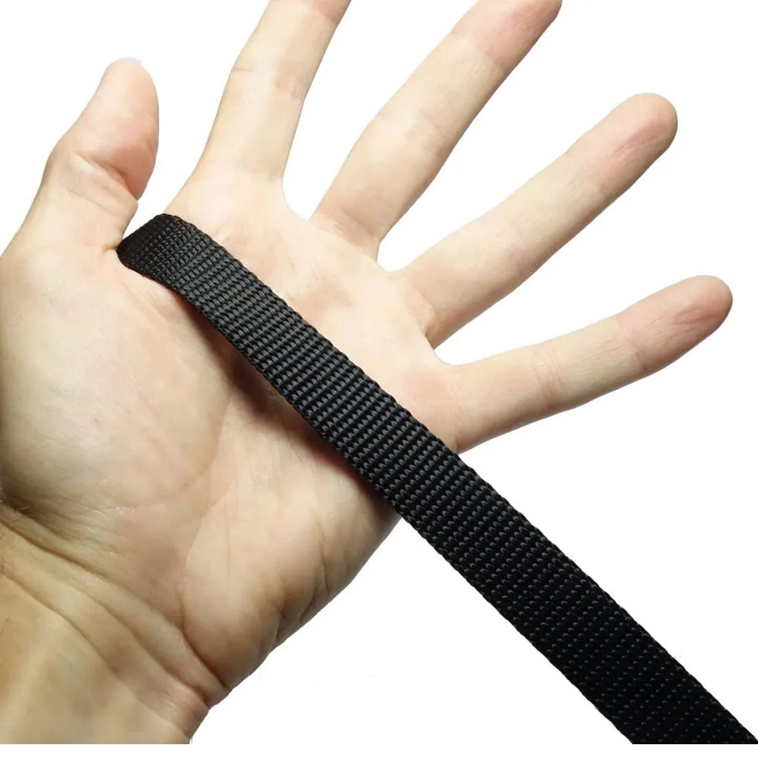10 Foot 3/4 Inch Dog Leash with Padded Handle