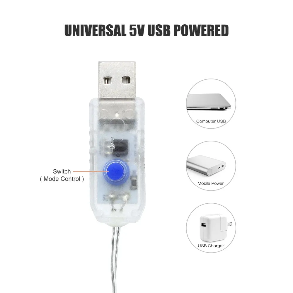 3m x 3m LED USB Christmas Fairy String Lights Remote Control