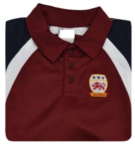 Benton Boys Indoor PE Polo Shirt (Years 8,9,10,11 From September 2024 ONLY)