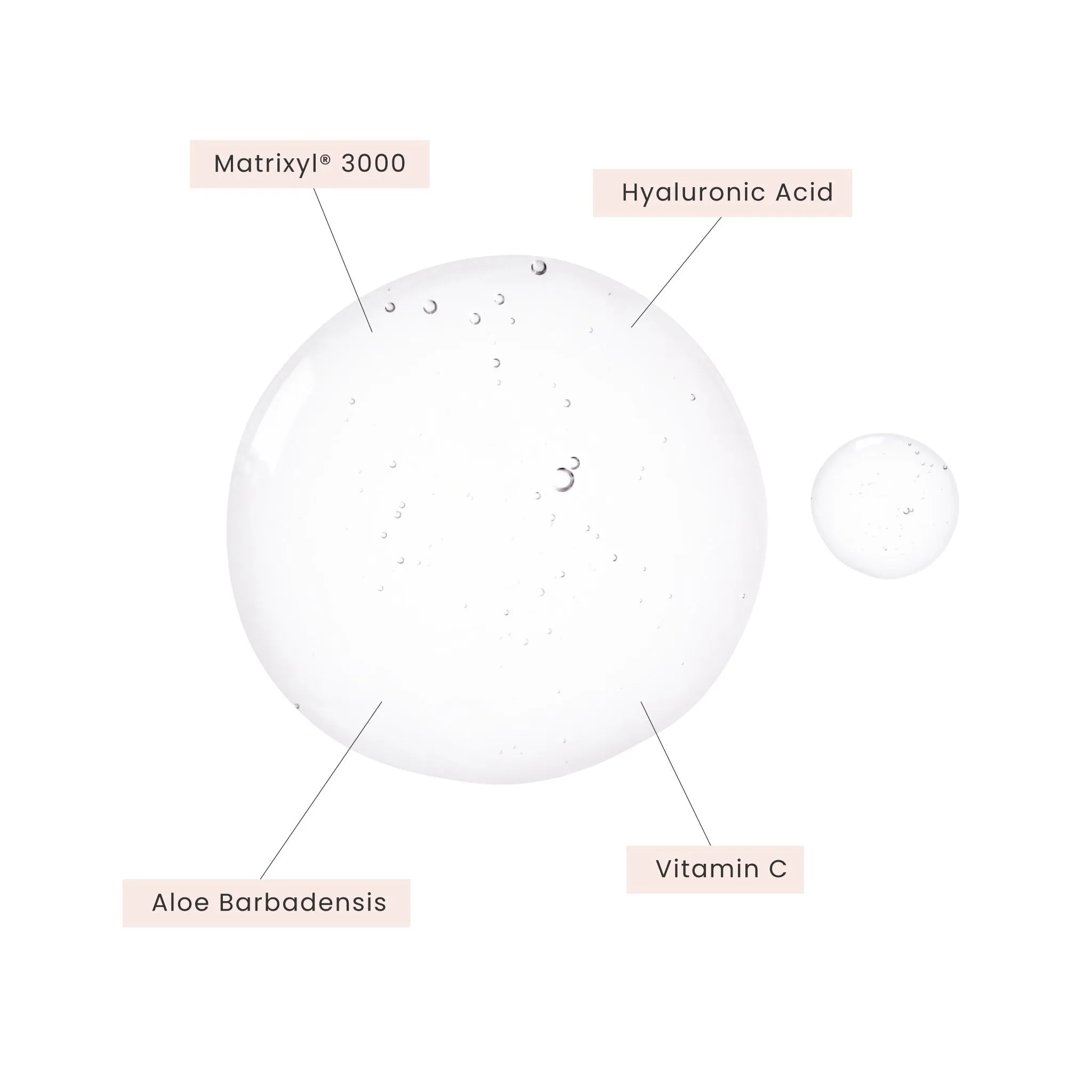 Hyaluronic Acid Vitamin C with Matrixyl 3000 Serum REFILL 4oz / 120ml