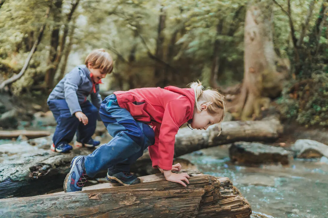 Kids’ Softshell Hiking Jacket MH550 2-6 Years