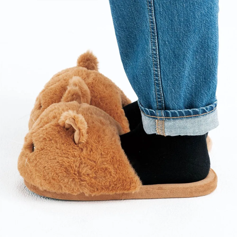 Kitten Slippers
