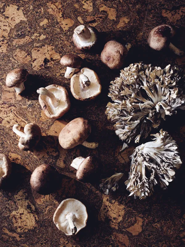 Mushroom Medley