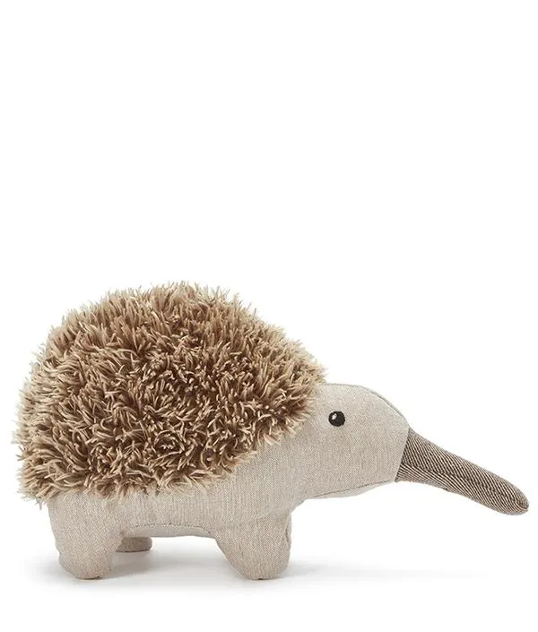 Nana Huchy Spike the Echidna