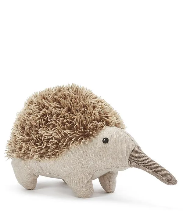Nana Huchy Spike the Echidna