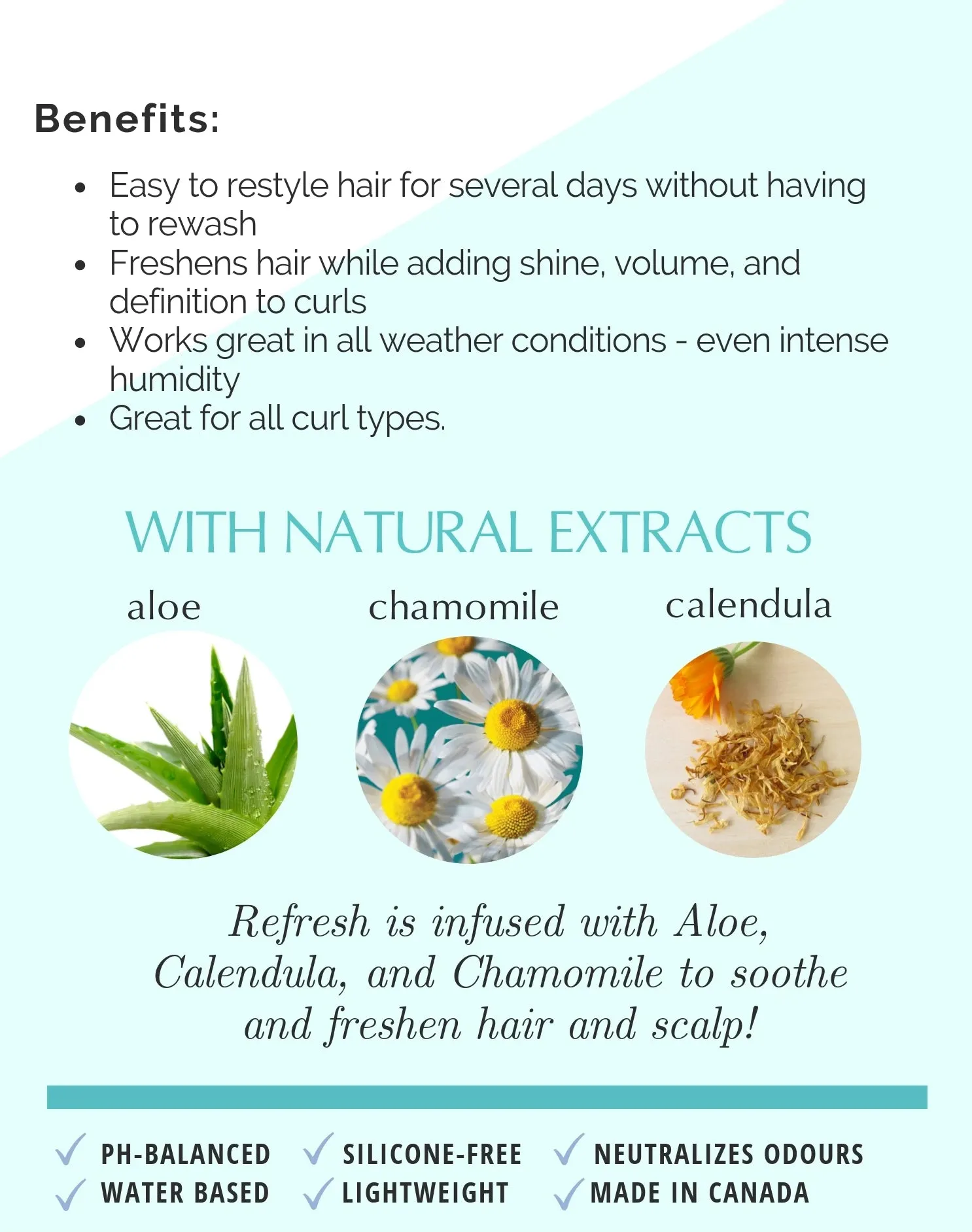 Refresh "Next Day" Styling Spray