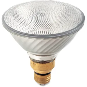 Satco 60-watt PAR38 Halogen Bulb
