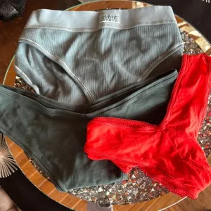 Skims XL Panty Bundle, Underwear Set - Sage, Emerald, Rose Red. NWT. Bundle Set.