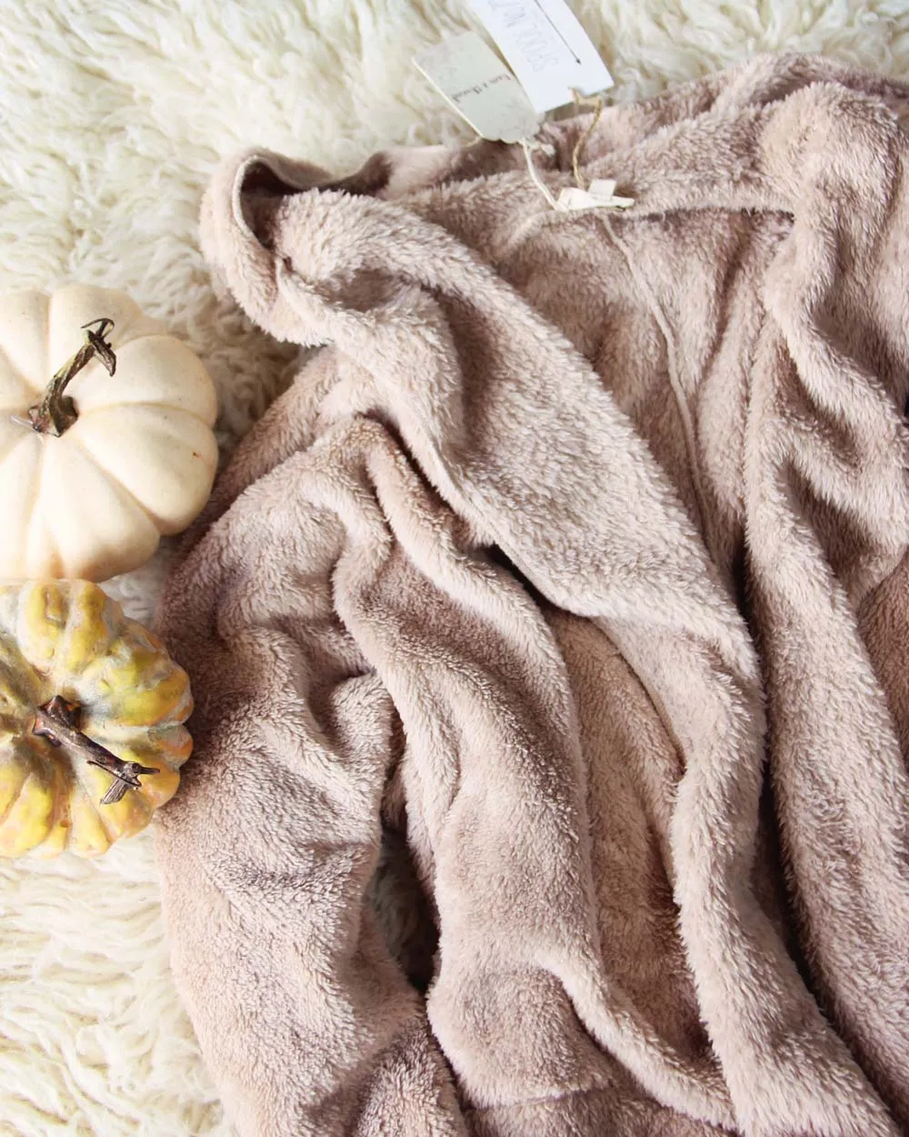 Softest Teddy Hoodie in Taupe