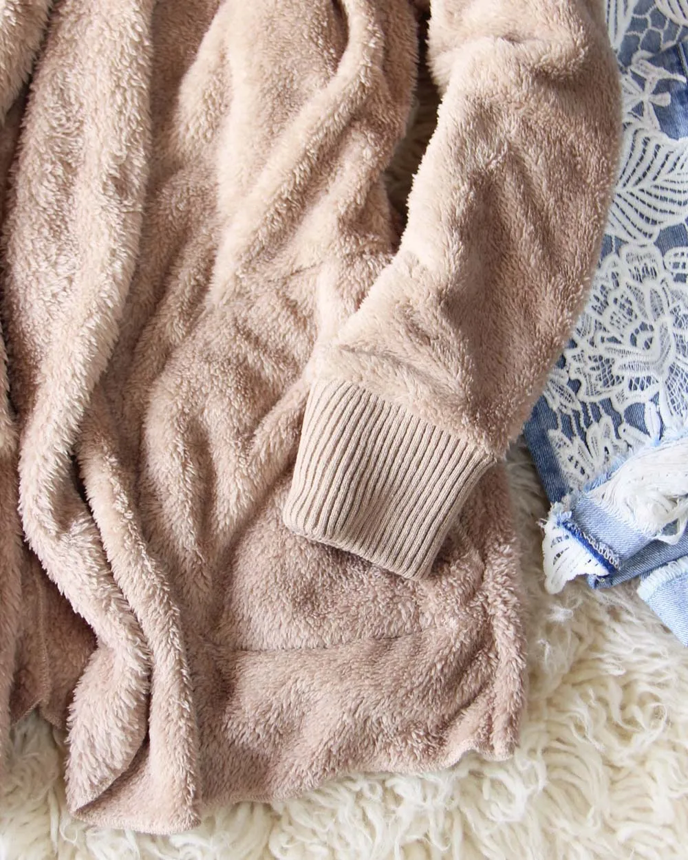 Softest Teddy Hoodie in Taupe