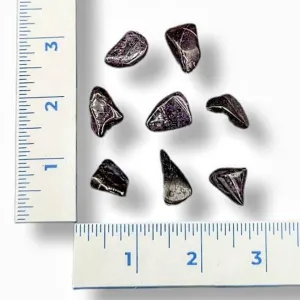 Sugilite High Grade Tumbled 1g Approximate