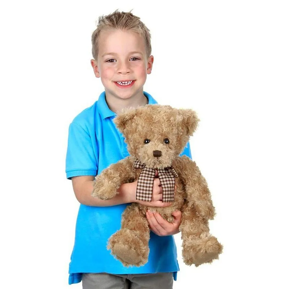 Theodore the Teddy Bear