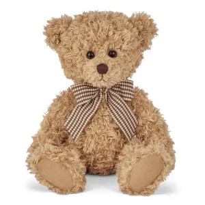 Theodore the Teddy Bear